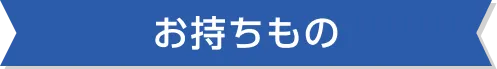 お持ちもの
